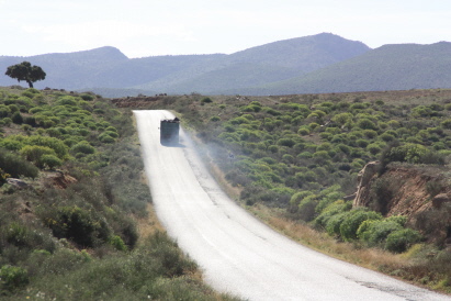noch ist es grün noch ist es grün