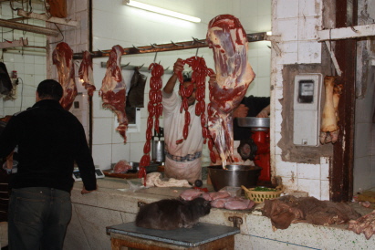 Frischfleisch mit Katze Frischfleisch mit Katze