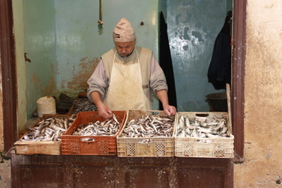 frischer Fisch frischer Fisch