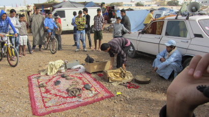 wo ist der Giftzahn wo ist der Giftzahn