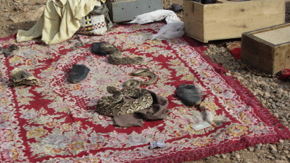 Schlangenbeschwörer Schlangenbeschwörer