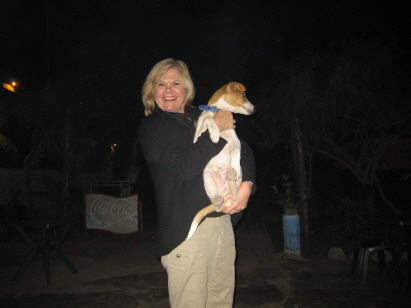 nicht gerade ein Schoßhund nicht gerade ein Schoßhund