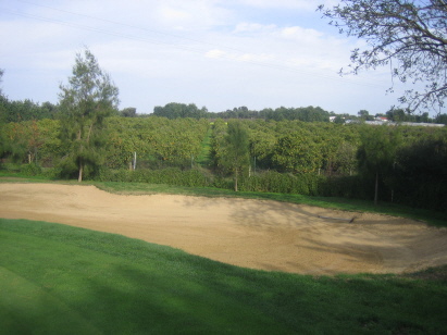 vorbei an Orangenhainen vorbei an Orangenhainen