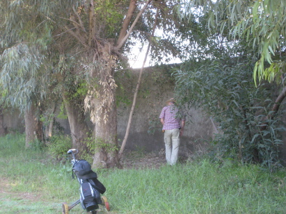 Ball suche nicht was ihr denkt Ball suche nicht was ihr denkt