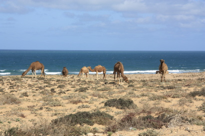 die waren schöner zu fotografieren die waren schöner zu fotografieren